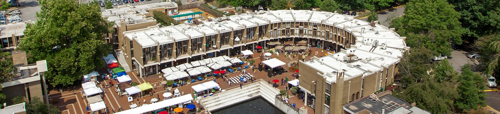 lake anne plaza shown from above
